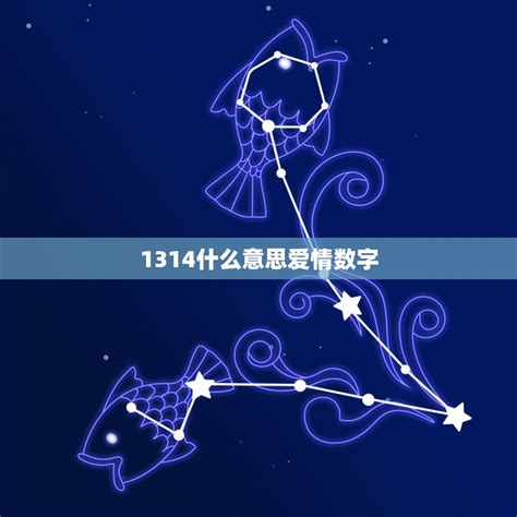 1314是什么意思